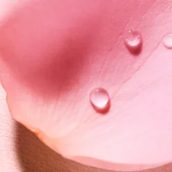 Discount NUXE Acqua profumata alla rosa