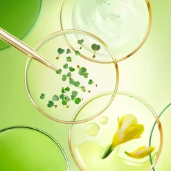 Fashion NUXE La Crema anti-età globale